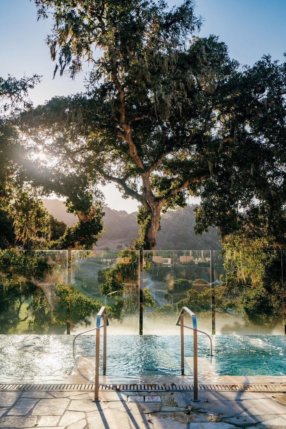 Outdoor swimming pool with a view of trees