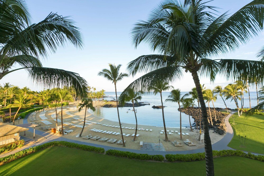 Resort with a beach, palm trees and a pool