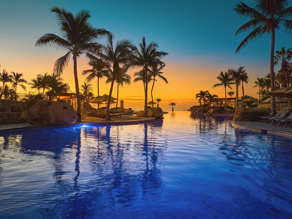 Resort pool surrounded by palm trees at the resort