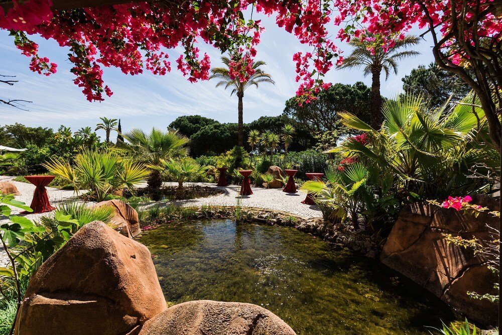 Garden with a pond and palm trees at the resort