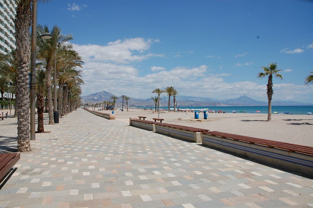 Walkway lined with palm trees at Hotel Alicante Golf