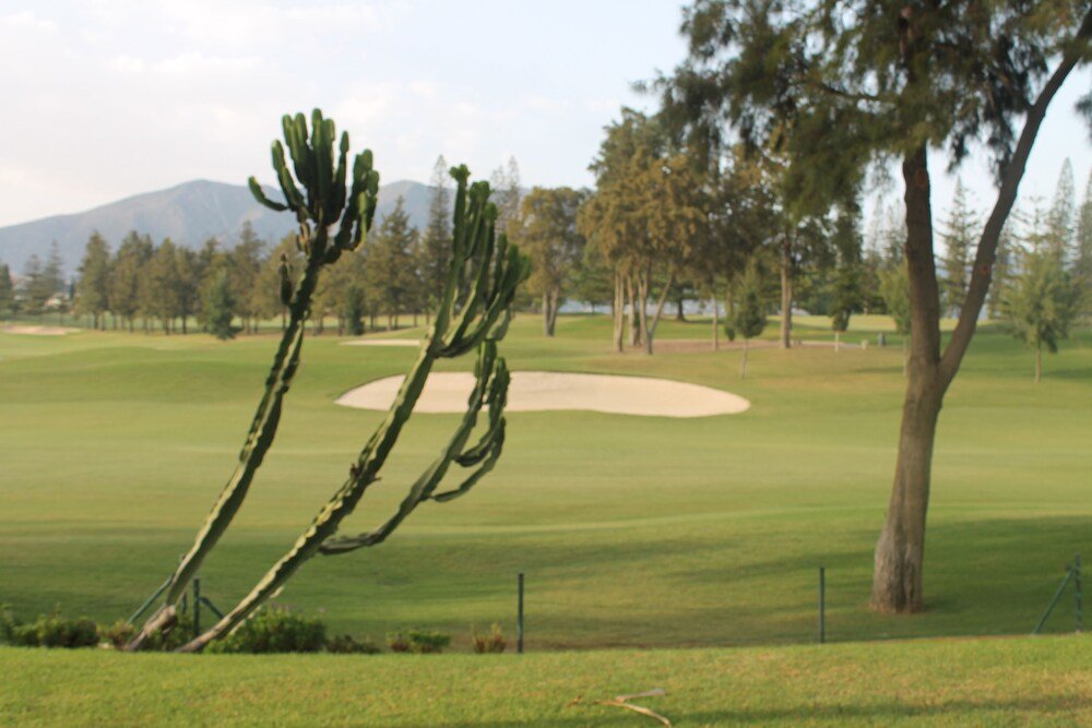 Desert-style landscape with cactus in the grounds of Hotel Tamisa Golf