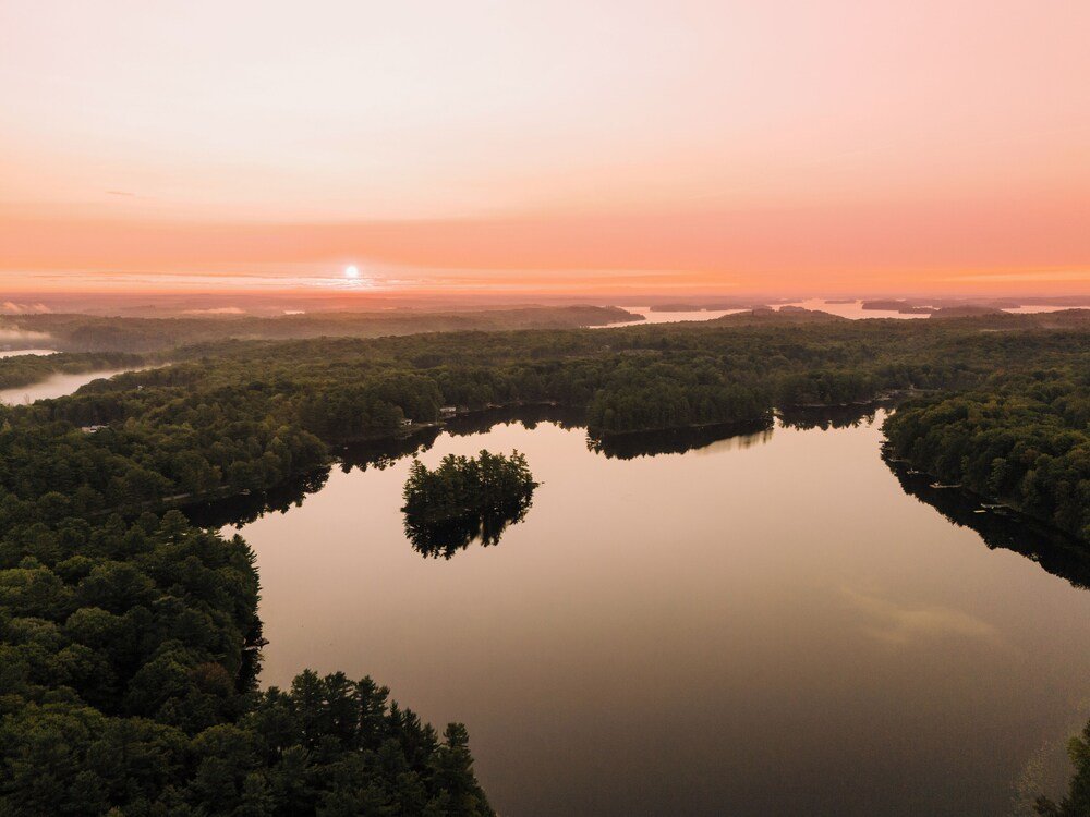Paisaje sereno de un lago rodeado de árboles