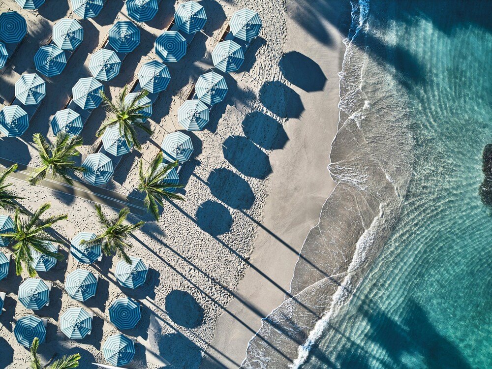 Aerial view of a beach lined with many umbrellas