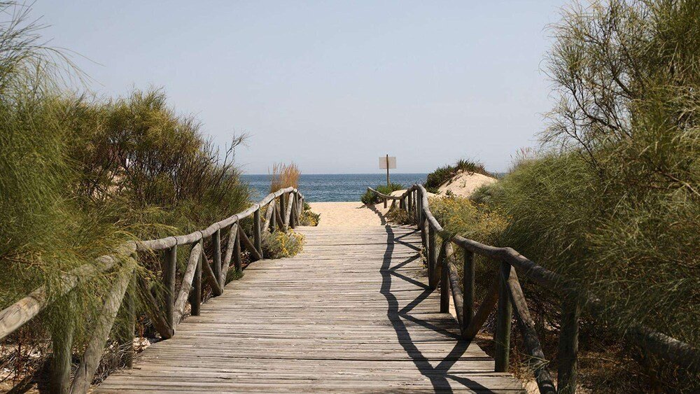 Wooden boardwalk running through the resort grounds near El Rompido