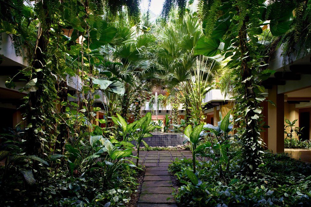 Frondoso jardín interior del resort en Westin Reserva Conchal